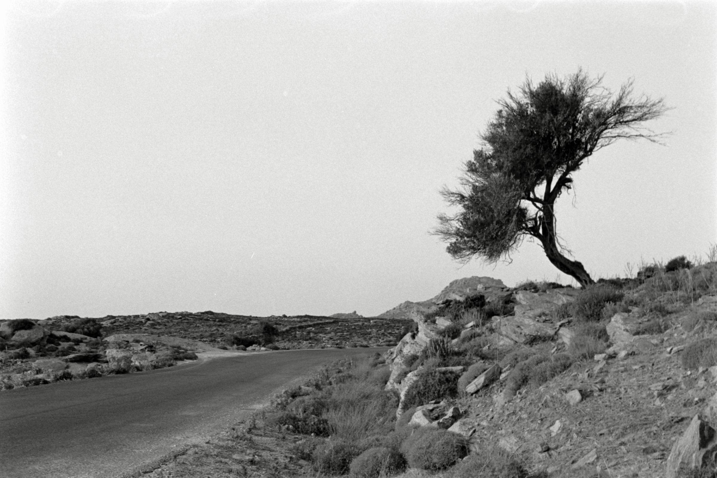 AHP F1991 09 005 sc250507 img14 NLP